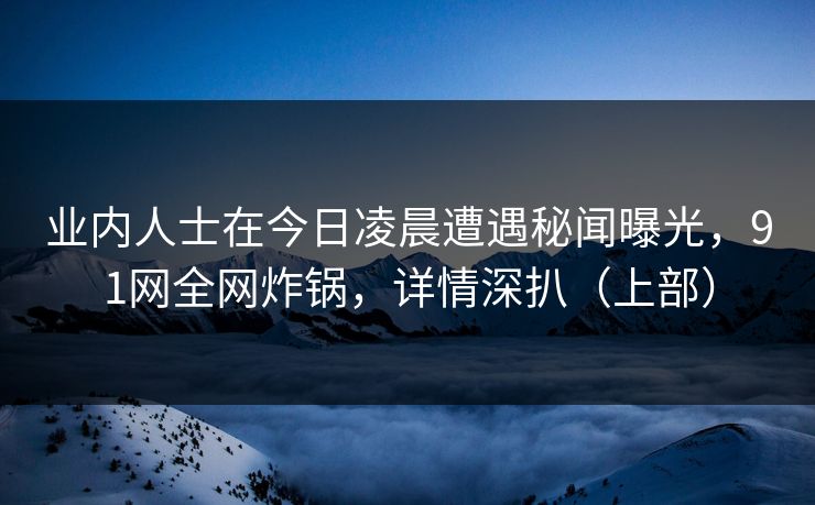业内人士在今日凌晨遭遇秘闻曝光，91网全网炸锅，详情深扒（上部）
