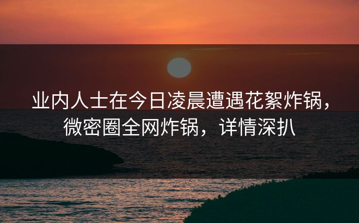 业内人士在今日凌晨遭遇花絮炸锅,微密圈全网炸锅,详情深扒 业内人士在今日凌晨遭遇花絮炸锅,微密圈全网炸锅,详情深扒