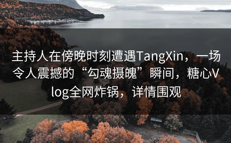 主持人在傍晚时刻遭遇TangXin，一场令人震撼的“勾魂摄魄”瞬间，糖心Vlog全网炸锅，详情围观