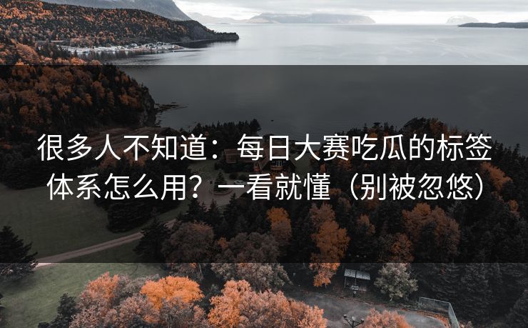 很多人不知道：每日大赛吃瓜的标签体系怎么用？一看就懂（别被忽悠）